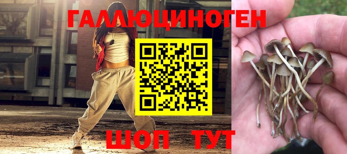 Псилоцибиновые грибы Magic Shrooms Новочебоксарск