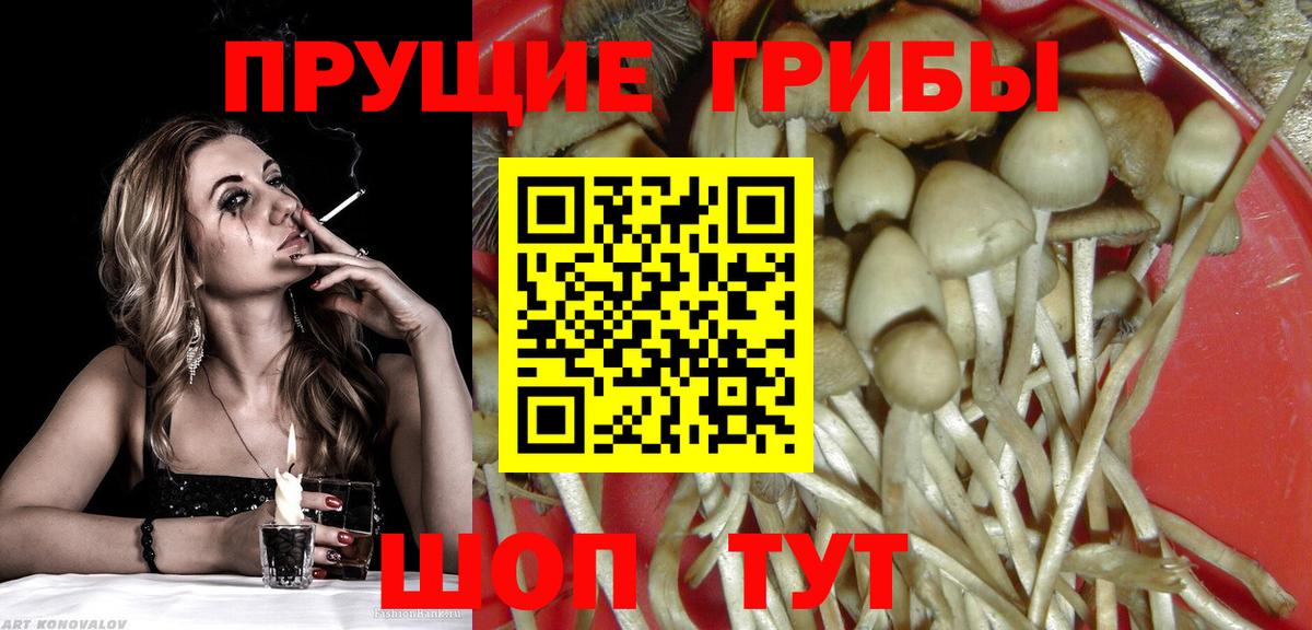 Новочебоксарск  Галлюциногенные грибы мицелий  Вход с VPN 